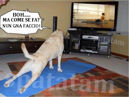 389811_475960415770413_1183420686_n