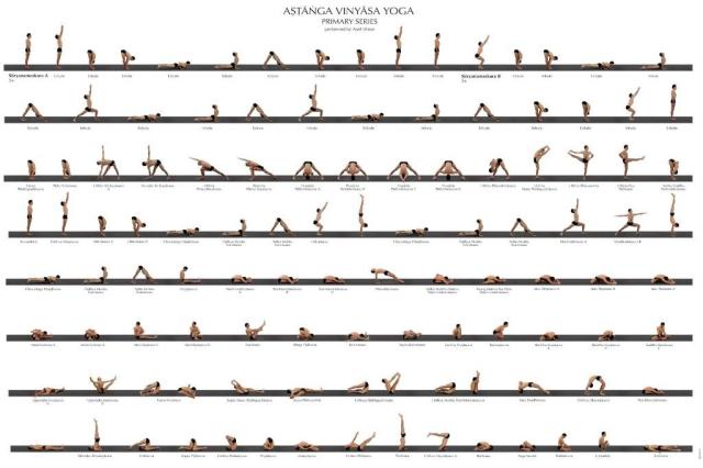 856757_450322491705852_673505885_o