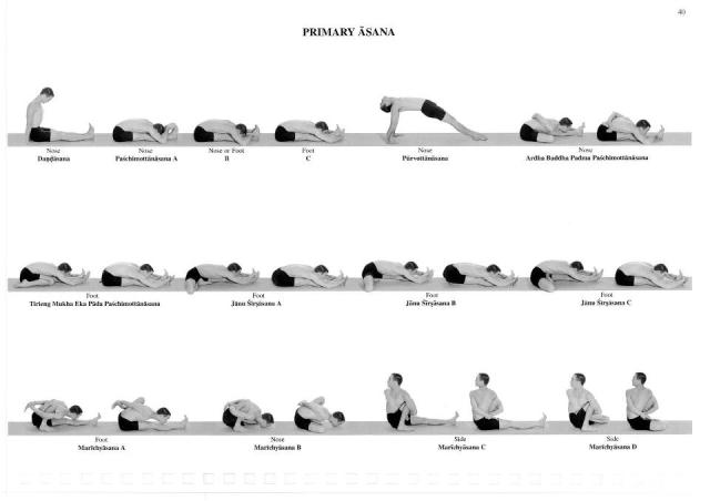 482914_10152542732685724_124794702_n