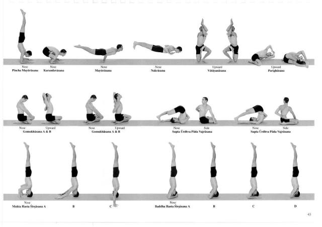 644376_10152542732695724_323796166_n