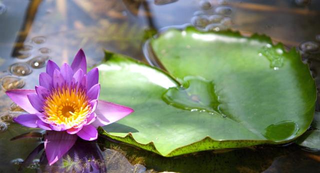 324289_416534961729220_296157588_o